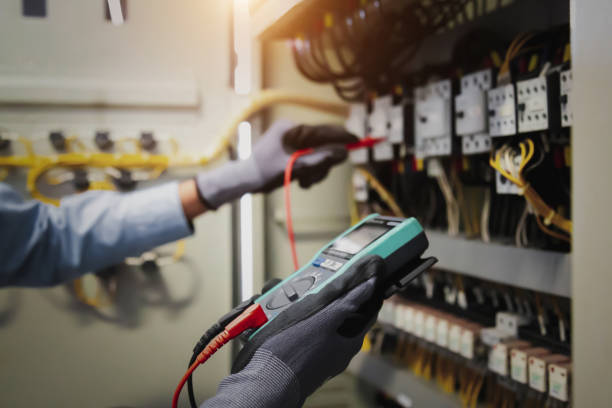 Best Electrical Panel Upgrades  in Napili Honokowai, HI